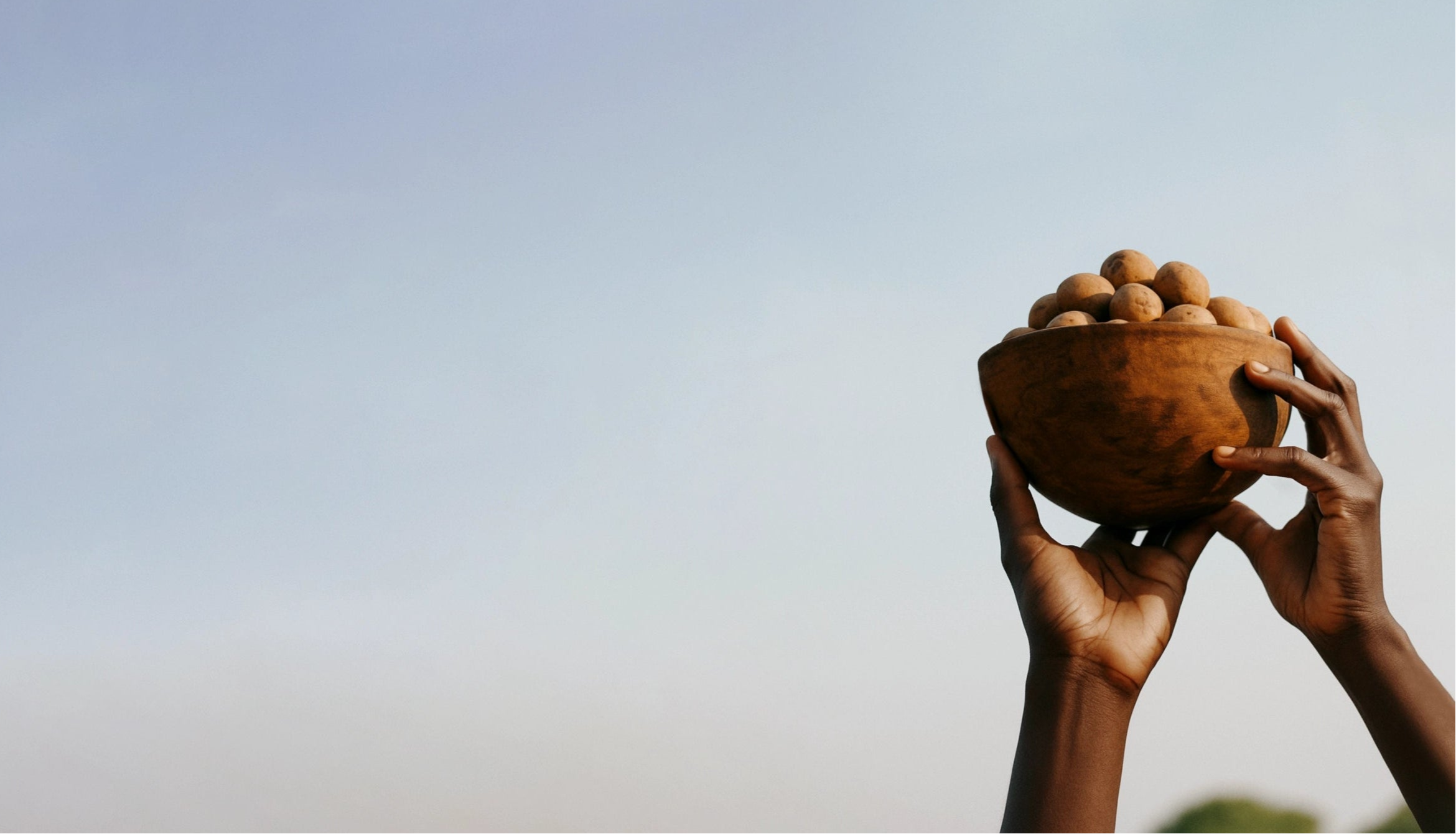 Hands holding a rustic wooden bowl filled with raw shea nuts against a clear blue sky