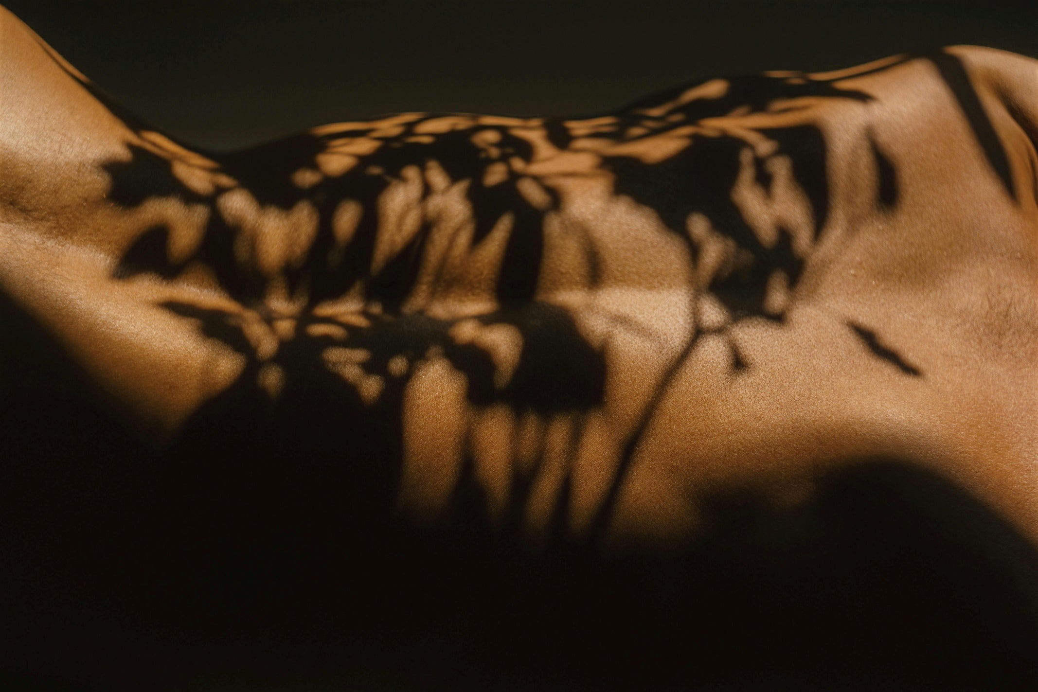 Shadow of foliage cast across a woman's bare back in a low-light setting