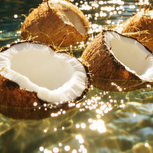 #scent_Olive Coconut - Halved coconuts floating in clear water, reflecting sunlight, suggesting tropical freshness and natural ingredients