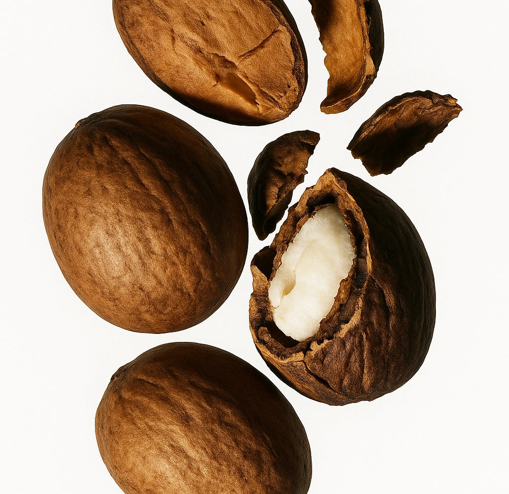#scent_Unscented - Close-up of whole and cracked shea nuts, revealing the raw shea butter inside
